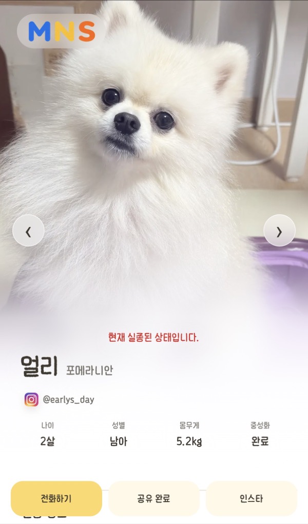 반려견 실종 정보 공유 화면