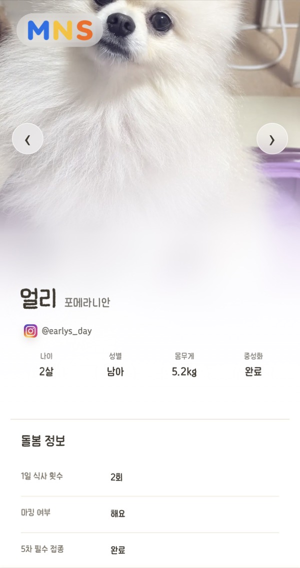 반려견 돌봄 정보 공유 화면