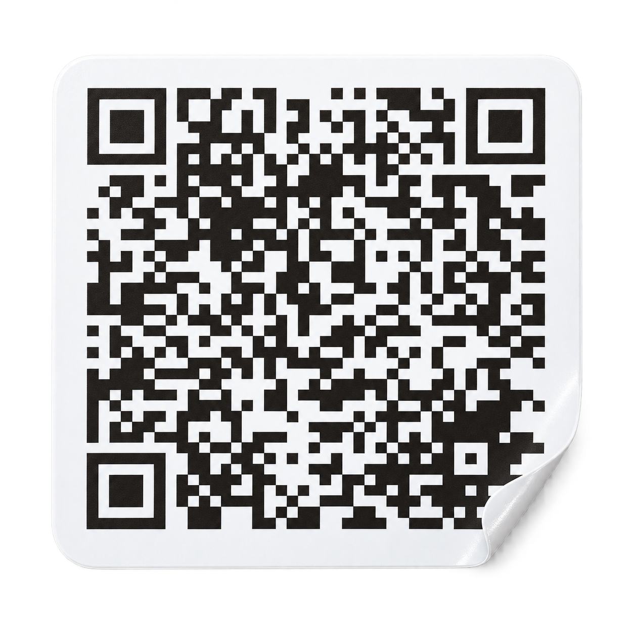 QR 스티커 예시